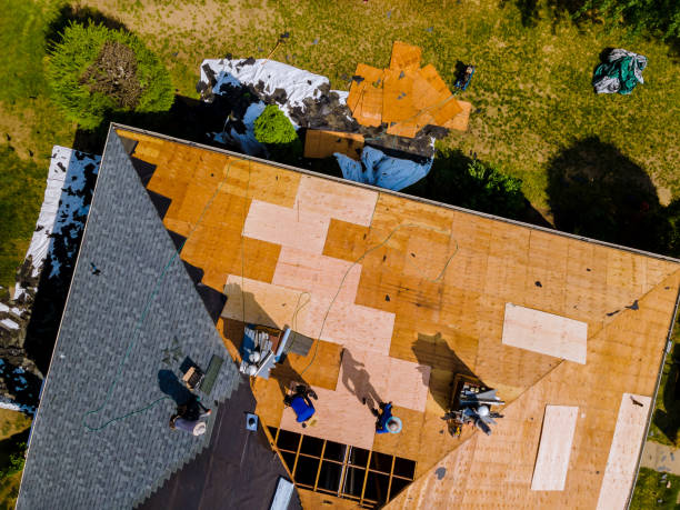 Best Roof Waterproofing Services  in Point Mackenzie, AK