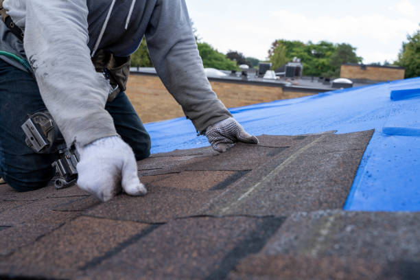 Best Residential Roof Replacement  in Point Mackenzie, AK
