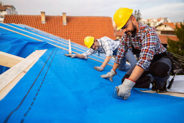 Best Shingle Roofing Installation  in Point Mackenzie, AK