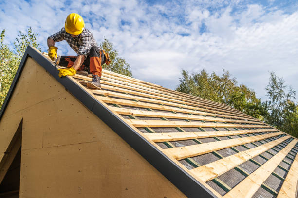 Best Shingle Roofing Installation  in Point Mackenzie, AK