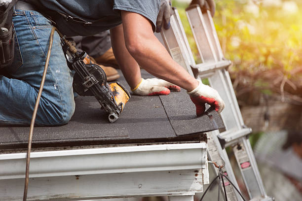 Best Tile Roofing Contractor  in Point Mackenzie, AK