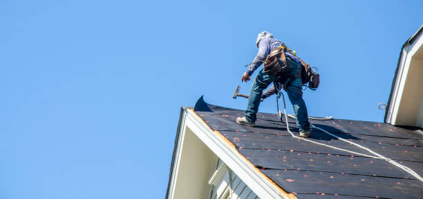 Best Emergency Roof Repair  in Point Mackenzie, AK